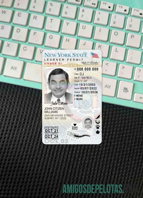 Carteira de habilitação dos EUA em Nova York com menos de 21 anos (versão 2) fotolook frente baixar para verificação